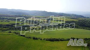 image_8