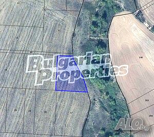 image_3