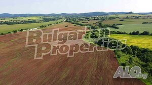 image_7