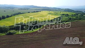 image_10