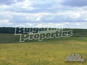 image_8