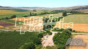 image_6