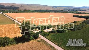 image_10