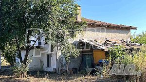 image_11