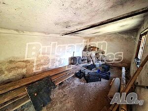 image_12