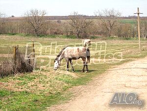 image_9