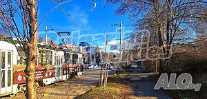 image_11