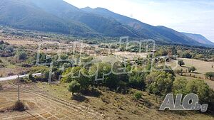 image_8