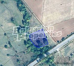 image_11