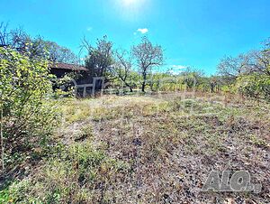 image_15