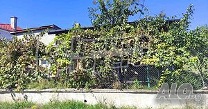 image_15