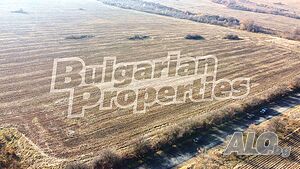 image_4