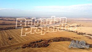 image_12