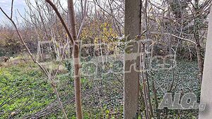 image_14
