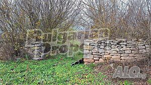 image_15