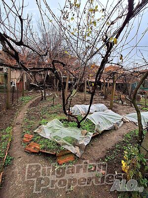image_9