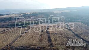image_5