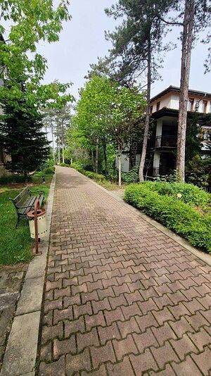 image_13