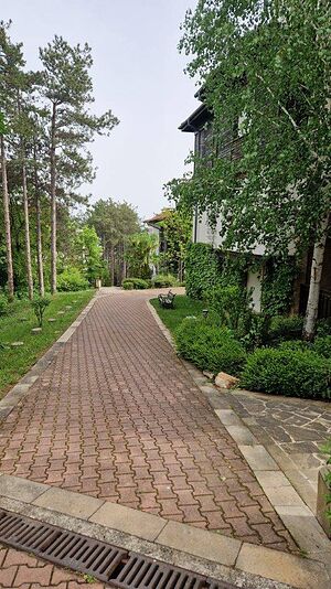 image_15
