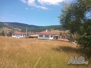 image_3