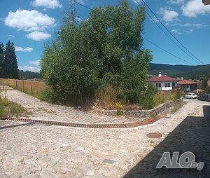 image_2