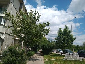 image_11