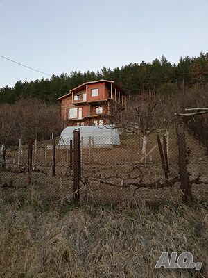 image_6