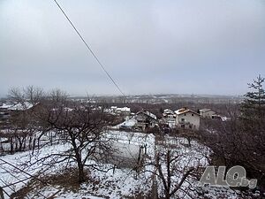 image_7