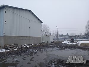image_5