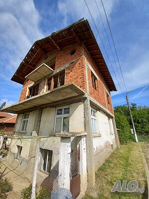 image_3