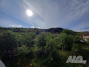 image_6