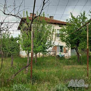 image_9