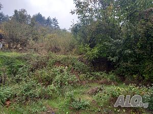 image_13