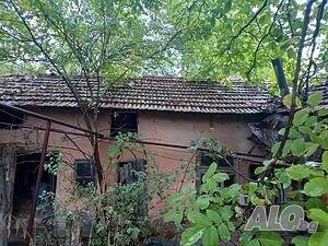 image_14