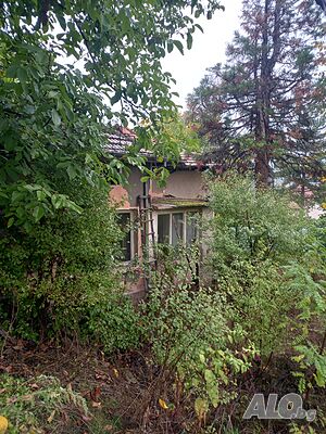 image_15