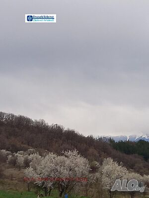 image_11