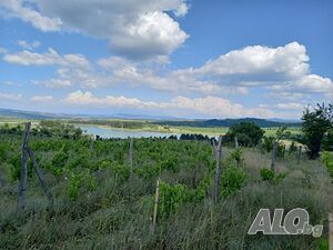 image_7