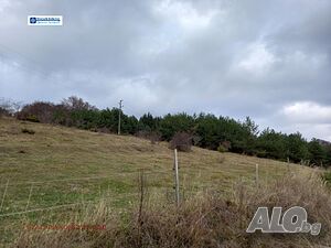 image_3
