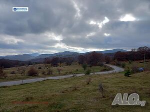 image_6