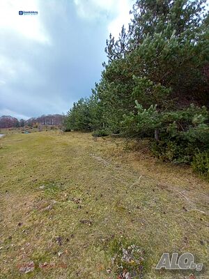 image_9