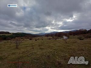 image_11
