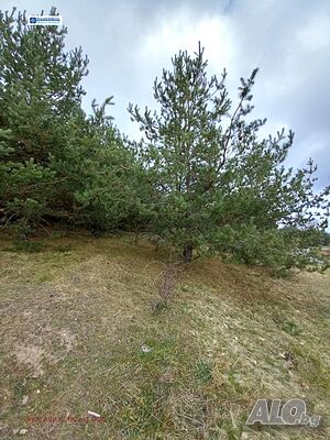image_13