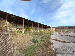 image_7