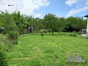 image_5