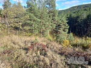 Продажба Парцел гр. Кюстендил 817m²