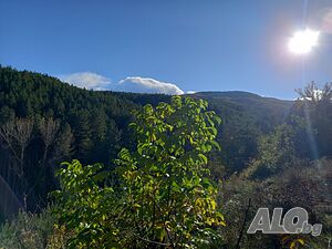 image_3