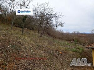 image_8