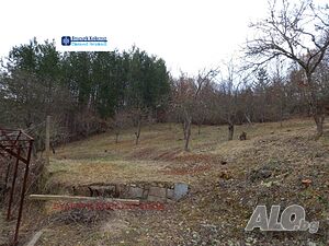 image_10
