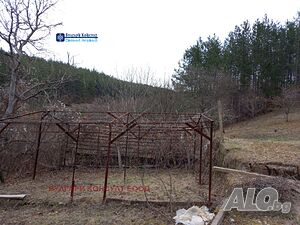 image_11