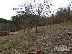 image_12